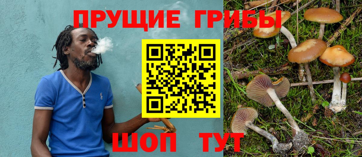 Златоуст  Галлюциногенные грибы Cubensis  Псилоцибиновые грибы прущие грибы  Вход с VPN 